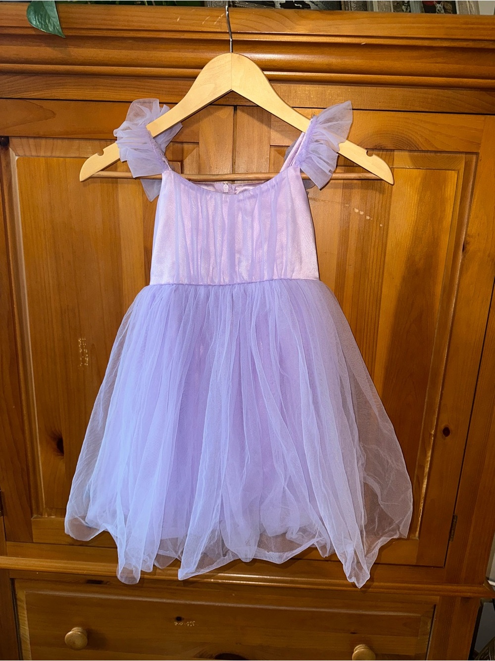 Toddler lilac dress 5T